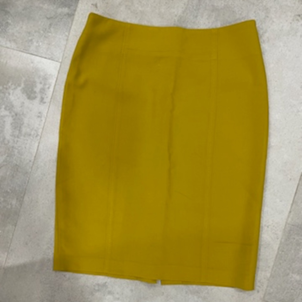 Ann Taylor Skirt